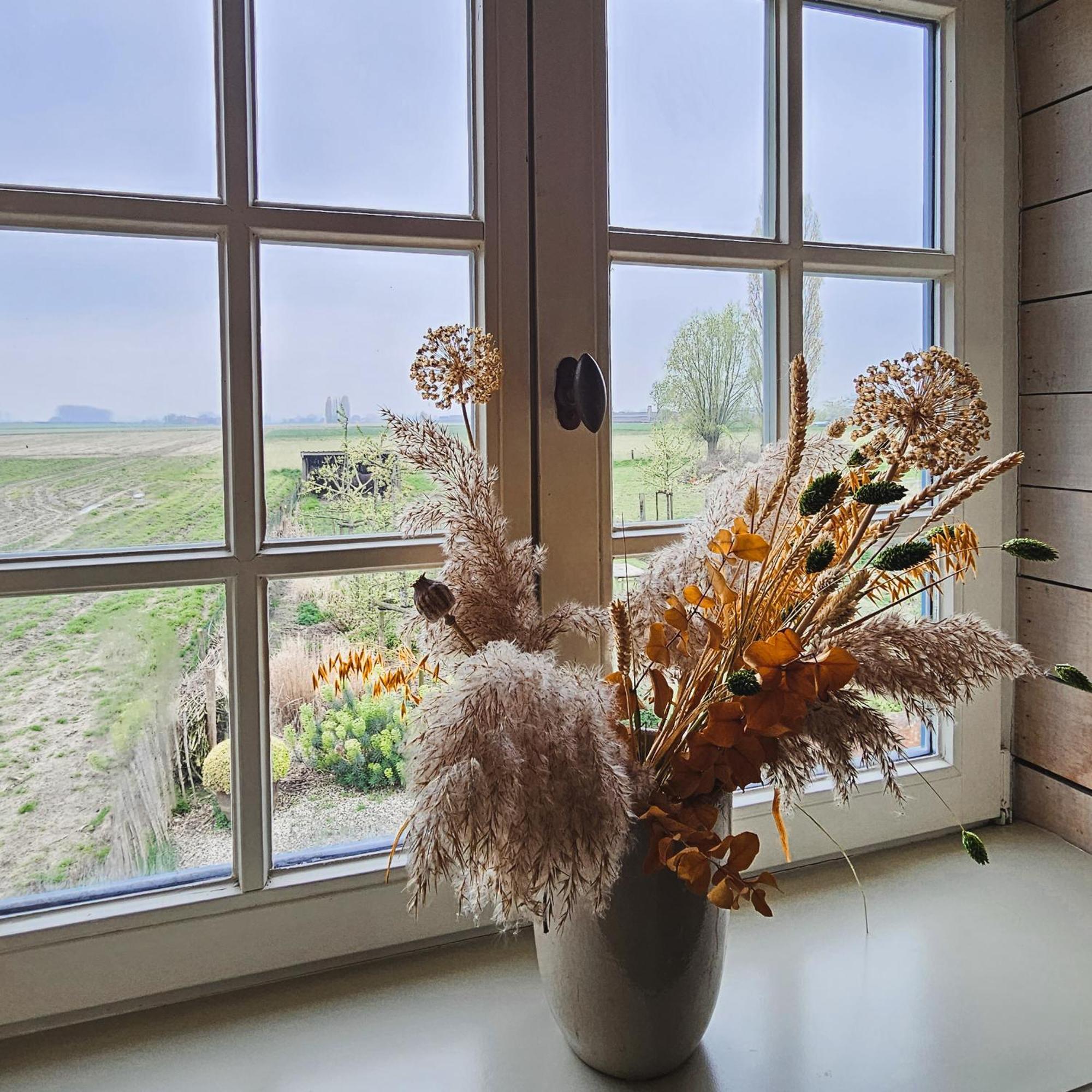 Boutique B&B Droomkerke Ruiselede Bagian luar foto