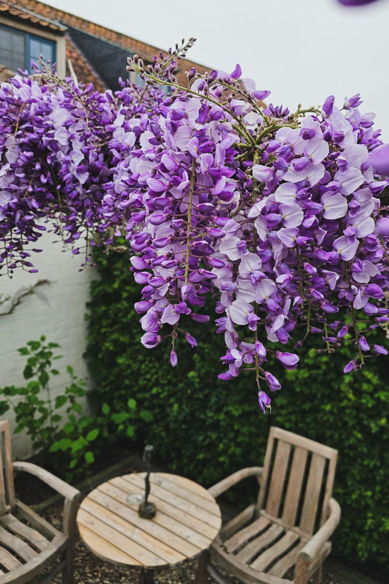 Boutique B&B Droomkerke Ruiselede Bagian luar foto