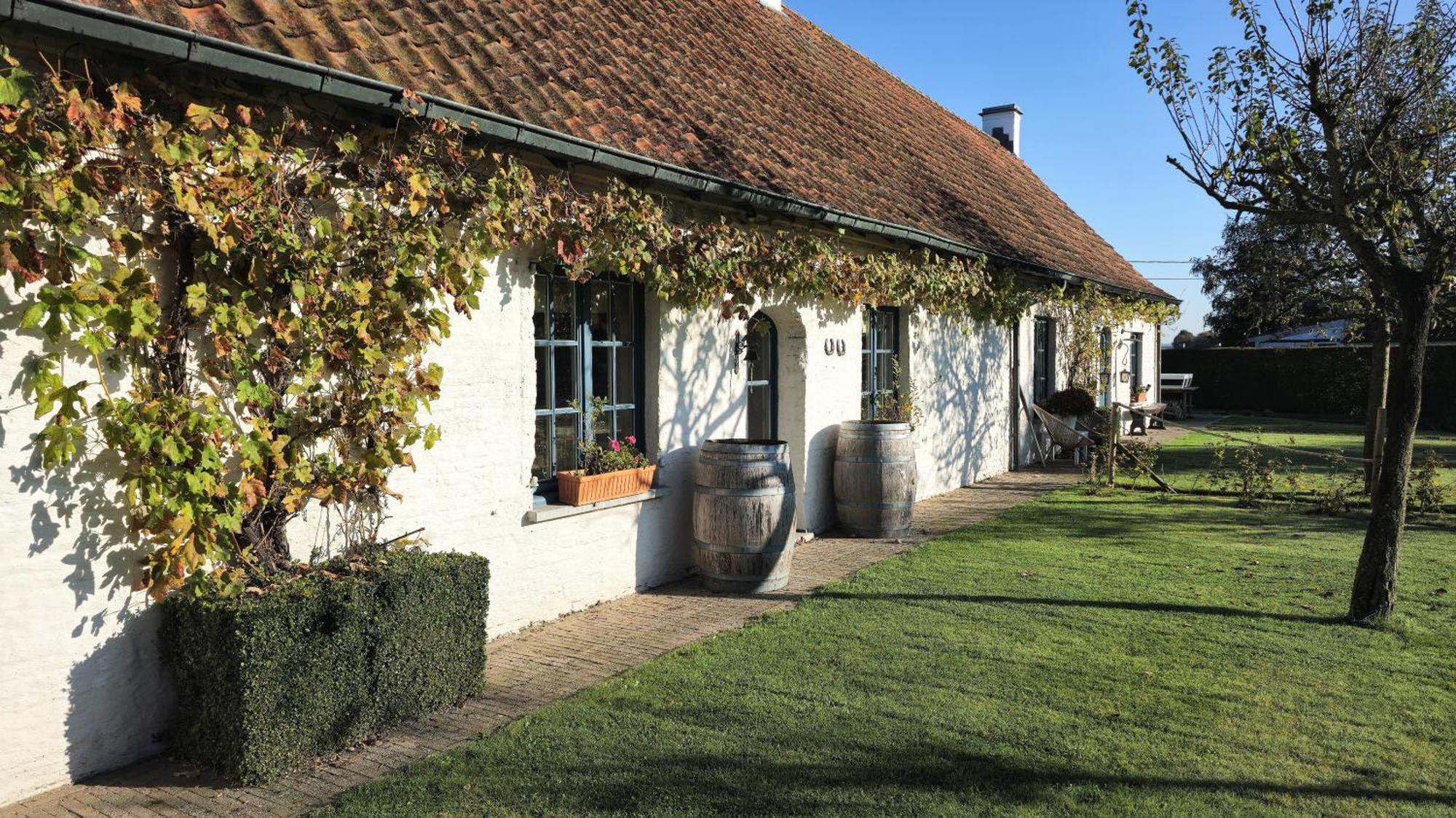 Boutique B&B Droomkerke Ruiselede Bagian luar foto