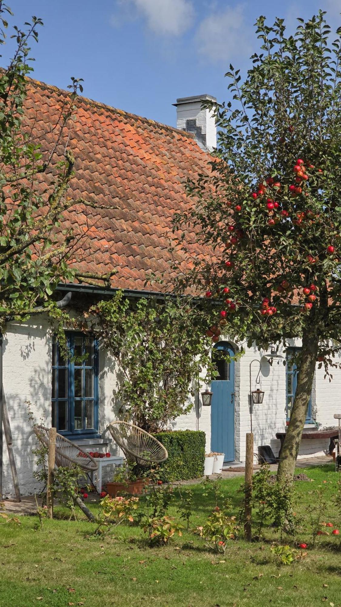 Boutique B&B Droomkerke Ruiselede Bagian luar foto